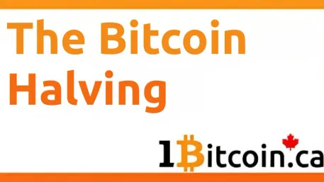 The Bitcoin Halving